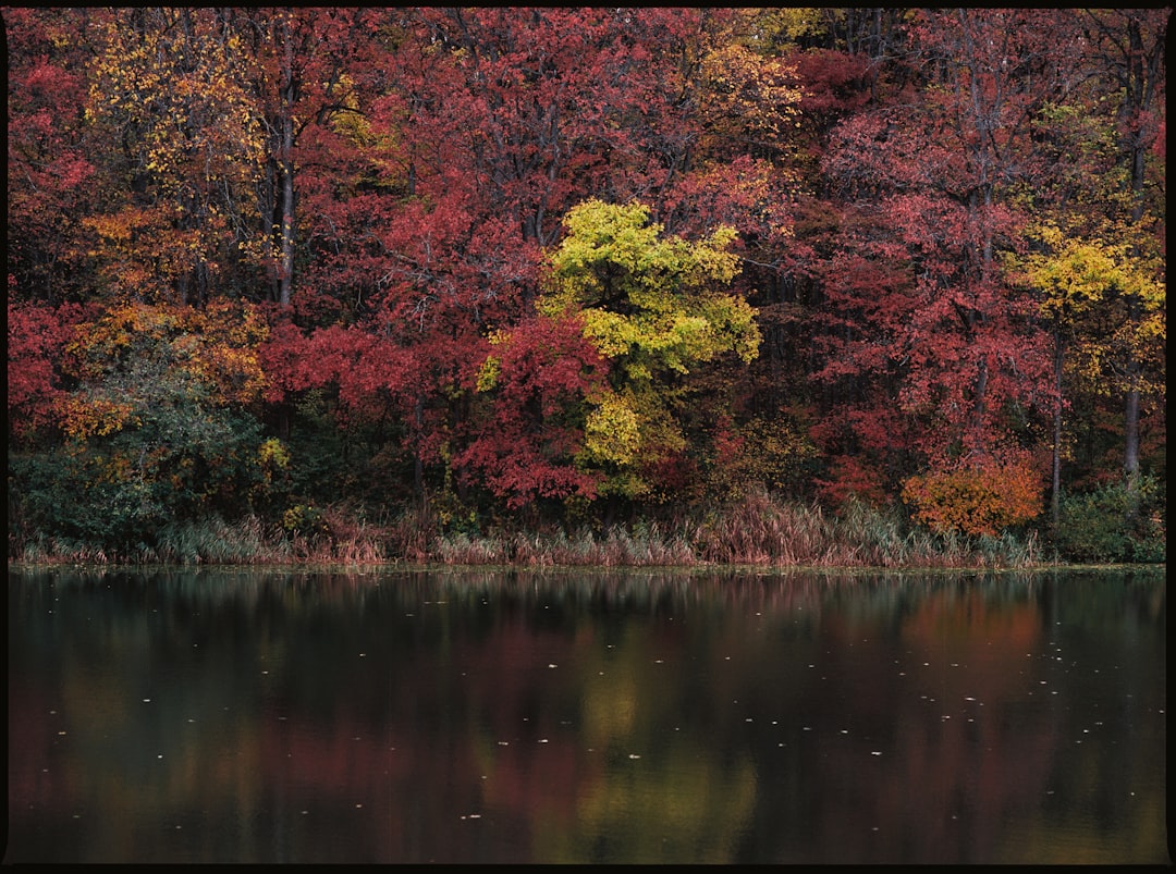 예술가의 여정, 사회적 치유를 위한 따뜻한 그림 한 점