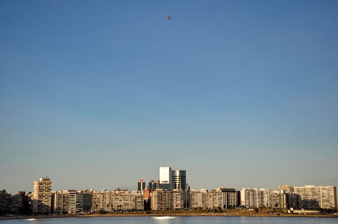 균형발전 정책, 부동산 시장 판도 변화 가져올까? 심층 분석