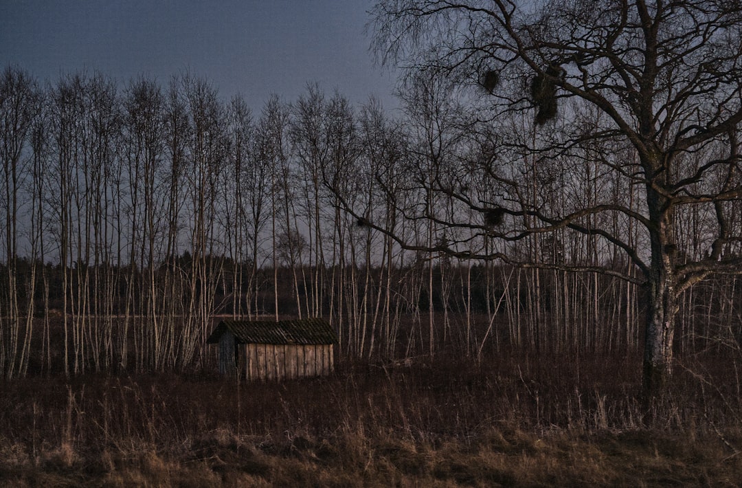 고성군 인구 감소 위기, 지속 가능한 생존 전략 모색