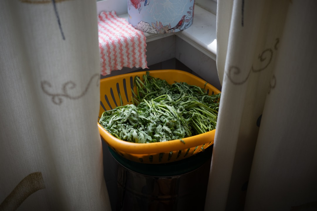 건강 이슈 심층 분석