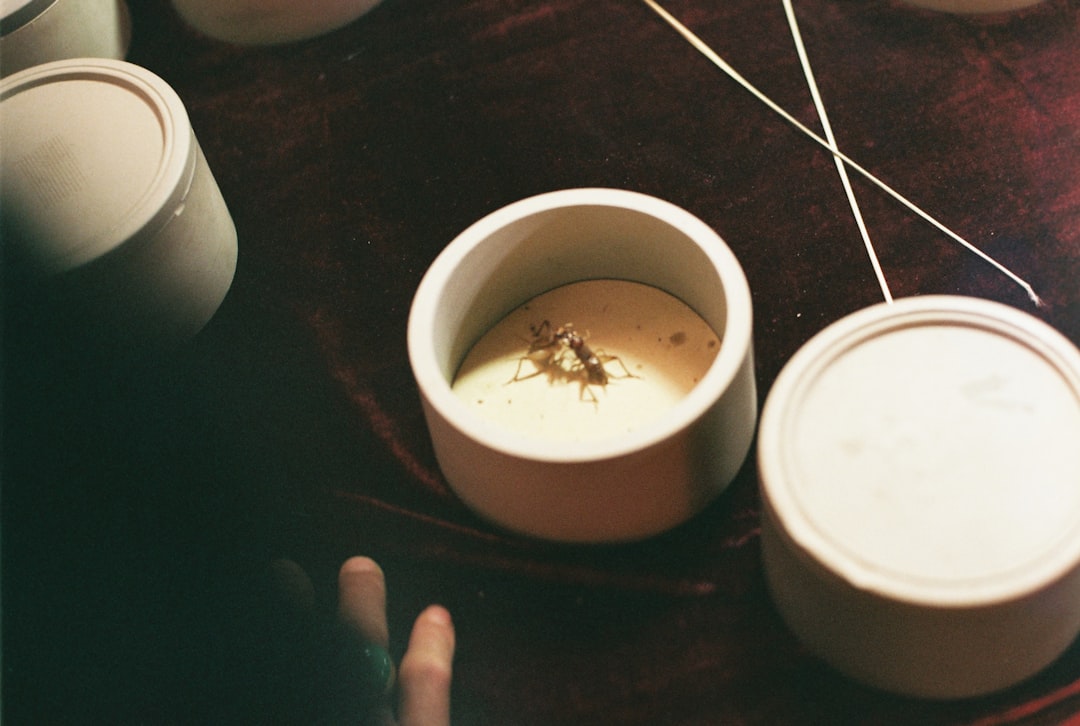 프로바이오틱스 복합물, 장 건강 넘어선 효능? 최신 연구 집중 분석