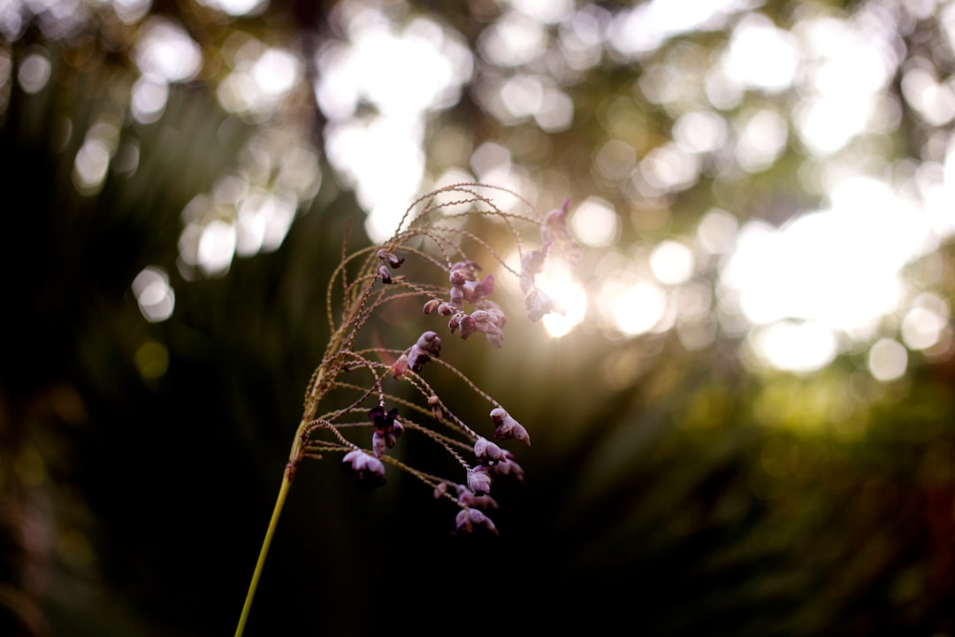 유방암 생존 후 우울증, 장기 생존에 미치는 영향과 극복 전략